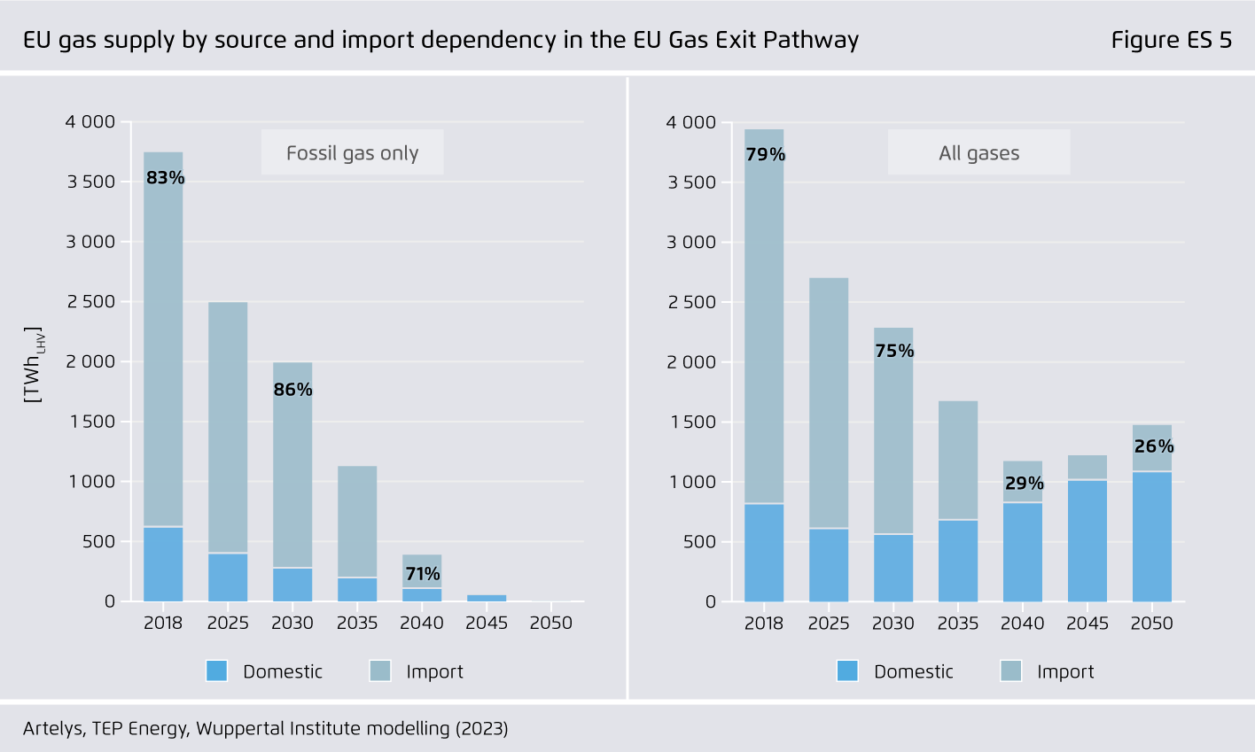 Preview for EU gas supply by source and import dependency in the EU Gas Exit Pathway