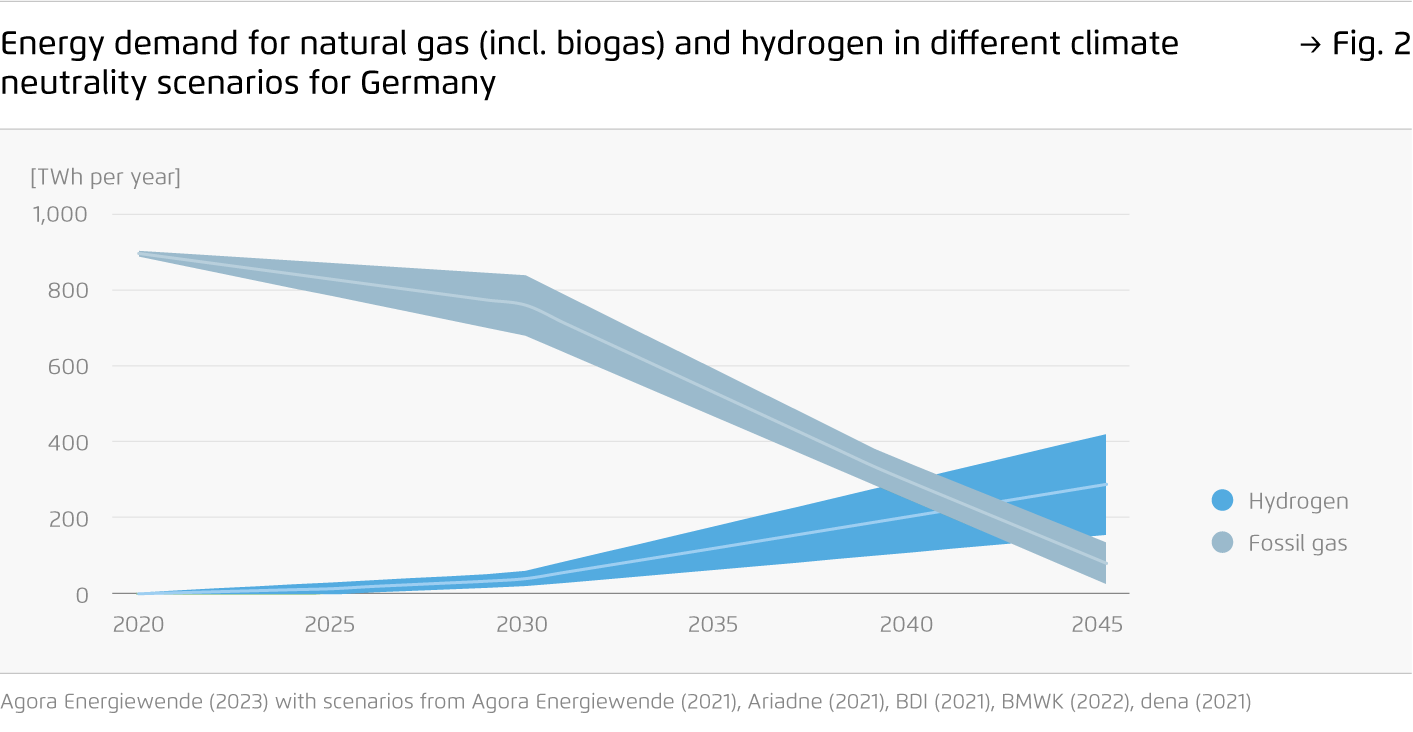 Preview for Energy demand for natural gas (incl. biogas) and hydrogen in different climate neutrality scenarios for Germany