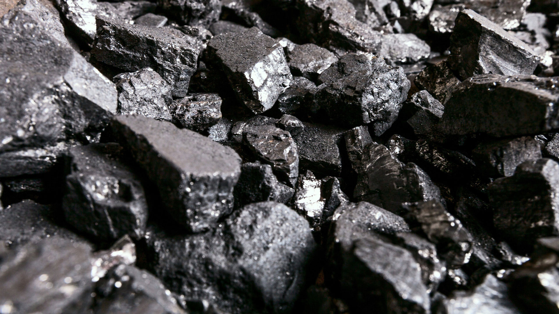 Eleven Principles for a Consensus on Coal (Short Version) Eleven Principles for a Consensus on Coal (Short Version)