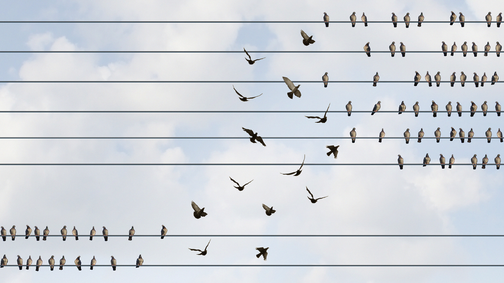 Energiewende: What do the new laws mean? Energiewende: What do the new laws mean?