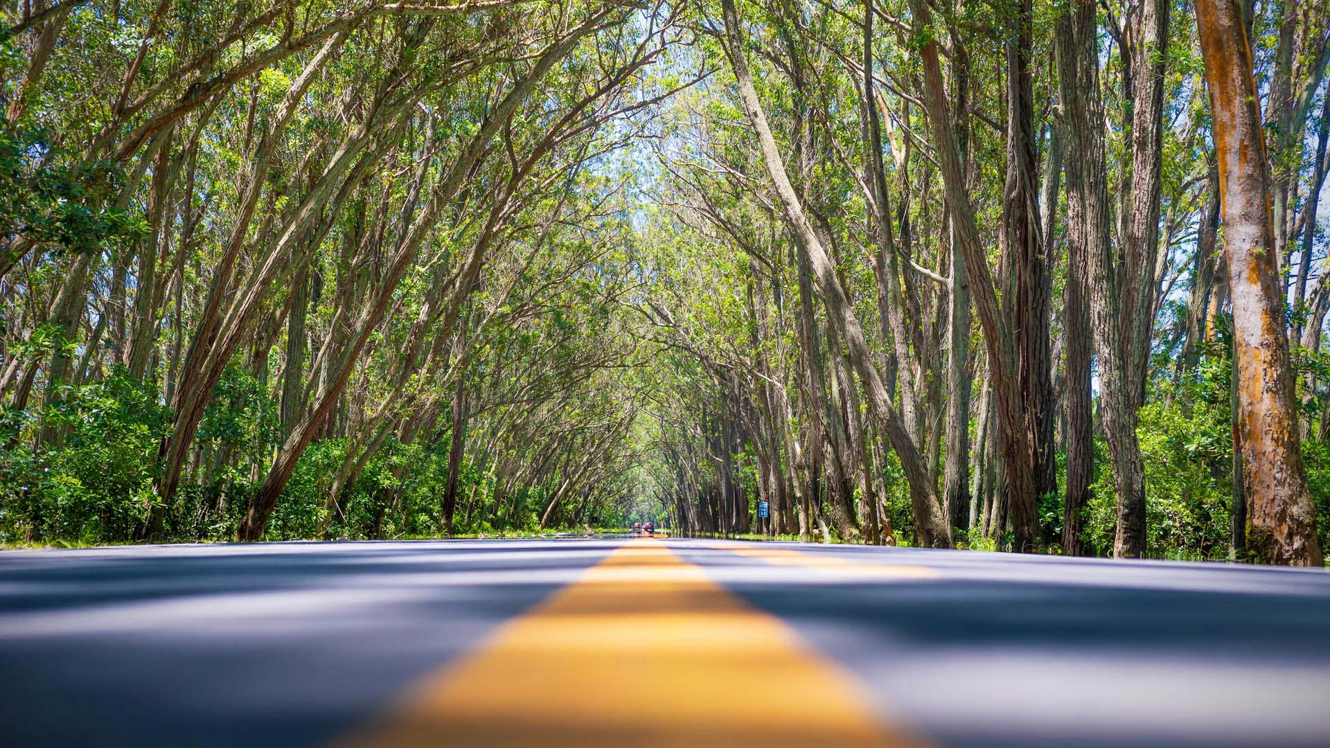 12 insights on hydrogen – Brazil edition